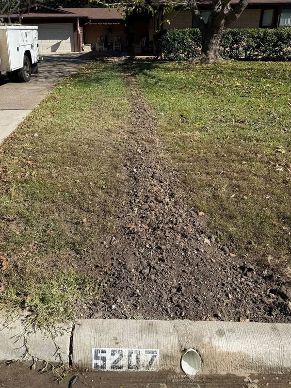 Tire tracks run across a front lawn leading to a house with the number 5207 on the curb.