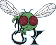 newbeefactory.com