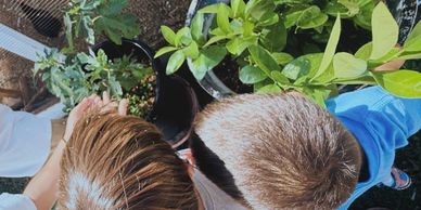 Two people tending to plants in a garden from a top view.