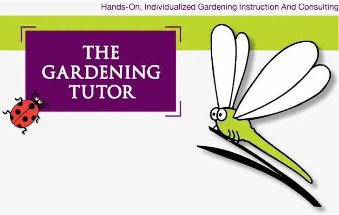 The Gardening Tutor in purple box with graphics of green dragonfly and red lady beetle.



