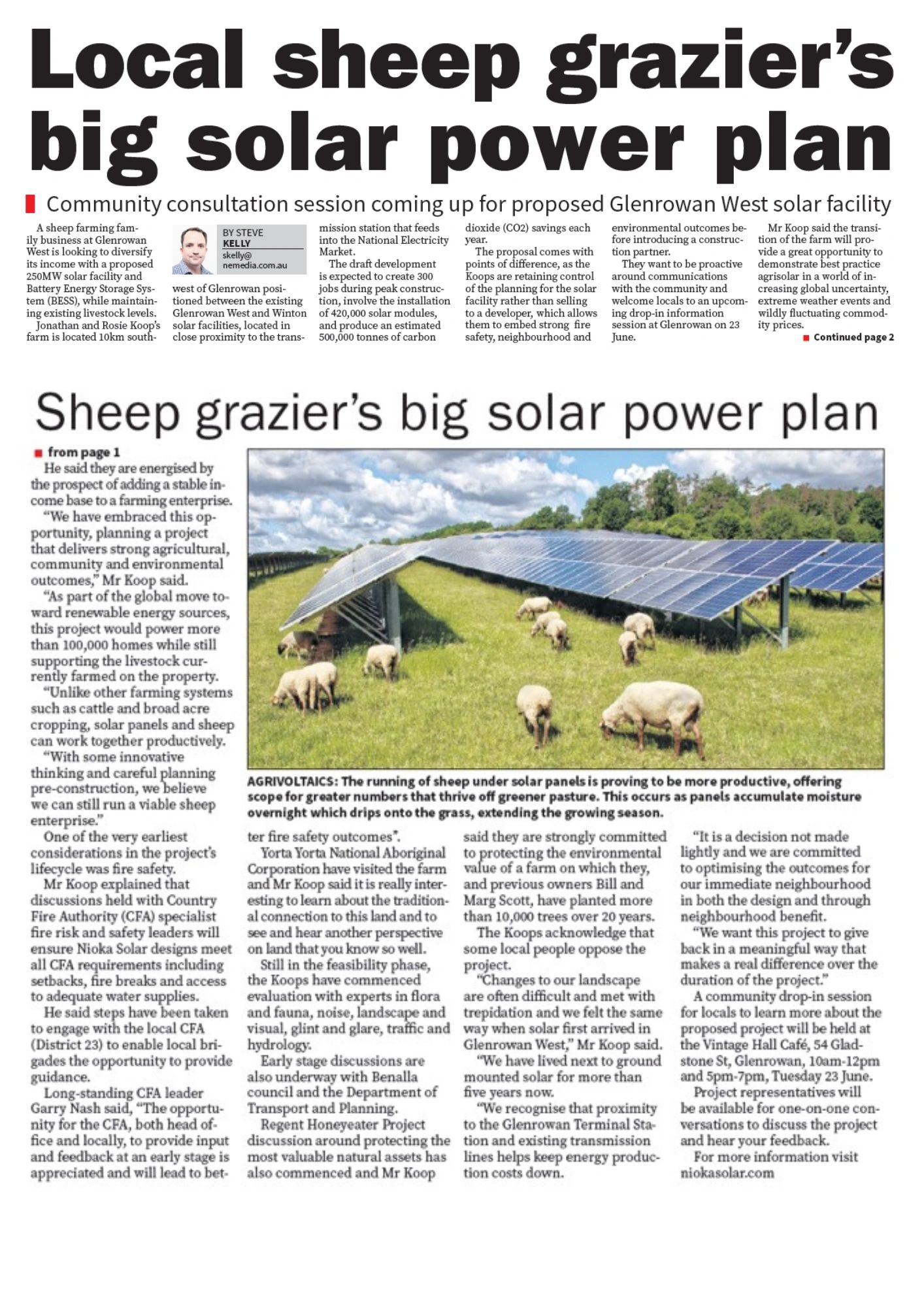 Local sheep farm plans a 250MW solar project integrating livestock and renewable energy.