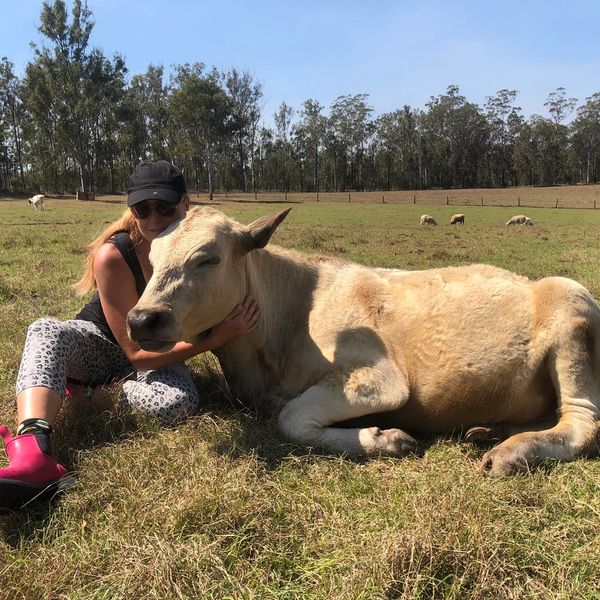 Volunteering at the animal rescue sanctuary 