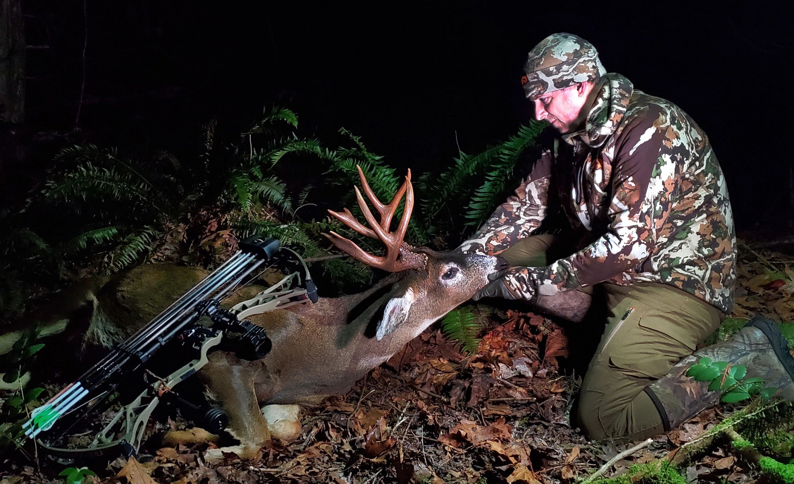 Tom Ryle Blacktail Pacific Northwest Bowhunting - Home