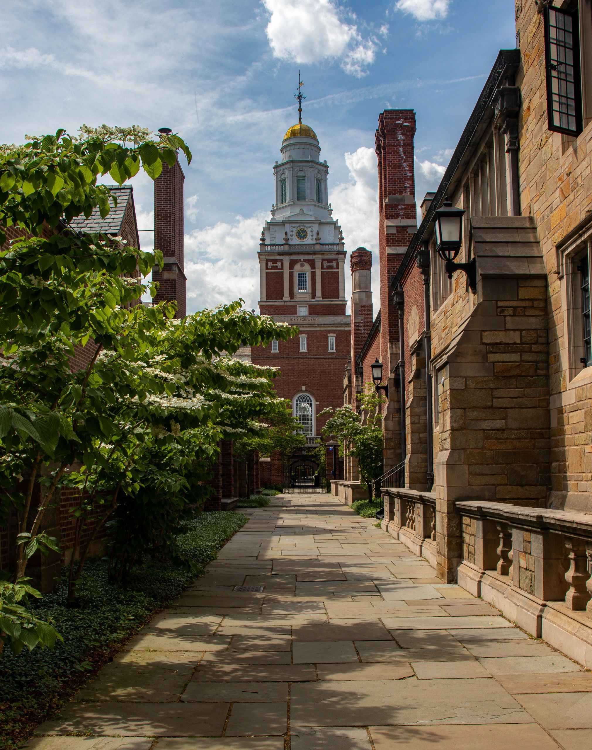 Yale University, New Haven, Connecticut