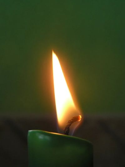 Char Kasza Somatic Healing Practitioner | Coming Home Practice