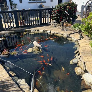 Pond Cleaning and Maintenance in Parkstone 
,Bournemouth, Dorset