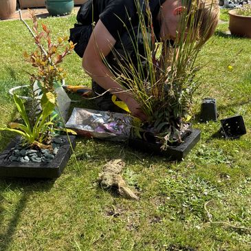 Regular Pond Maintenance, pond planting and repotting in Poole, Dorset 