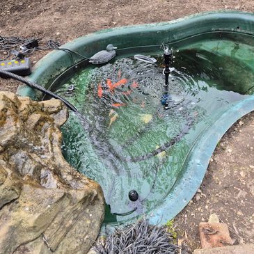 Pond Construction, Pond Waterfall Installation, Pond Clean, in Bournemouth, Dorset