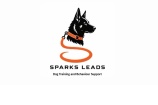 Sparks Leads