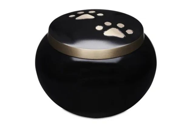 Black with Gold Paws Urn