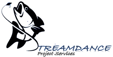 Streamdance Project Services