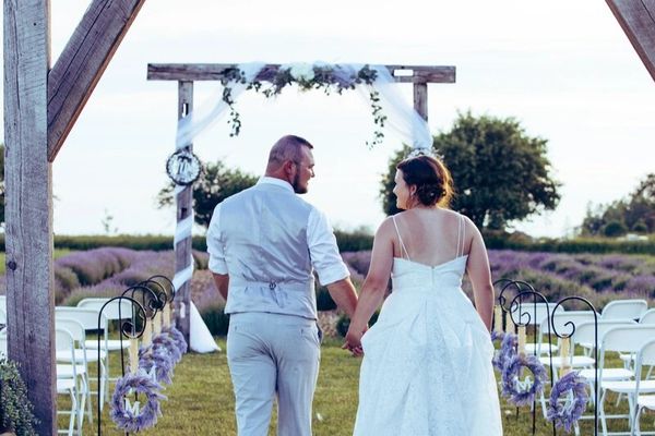 Blooming lavender field at Lavender Shores Farm outdoor wedding venue in Port Sanilac Michigan