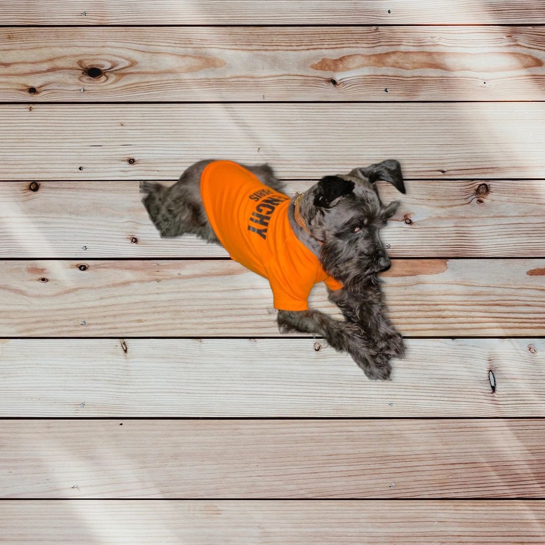 DogSwagApparel Dog, Clothes