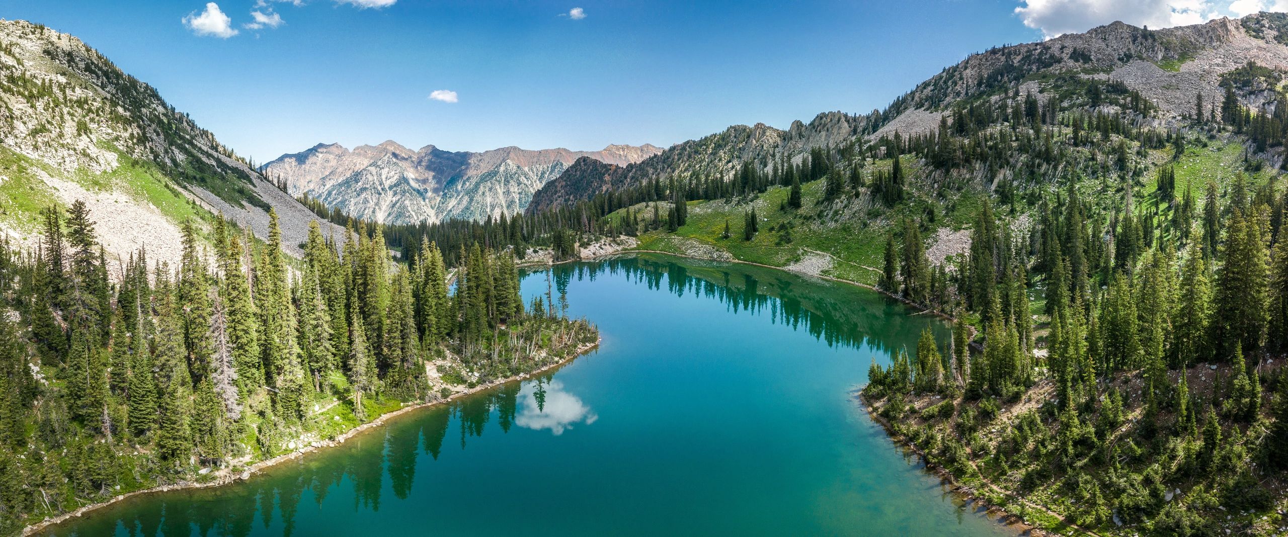 Red Pine Holdings