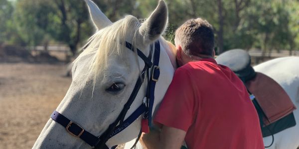 Hugging one of the horses