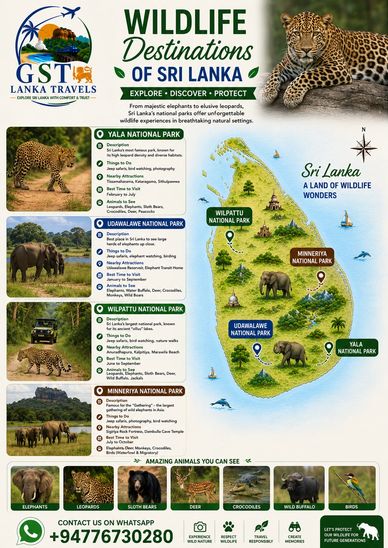 Explore Sri Lanka's top wildlife parks with diverse animals and stunning landscapes.