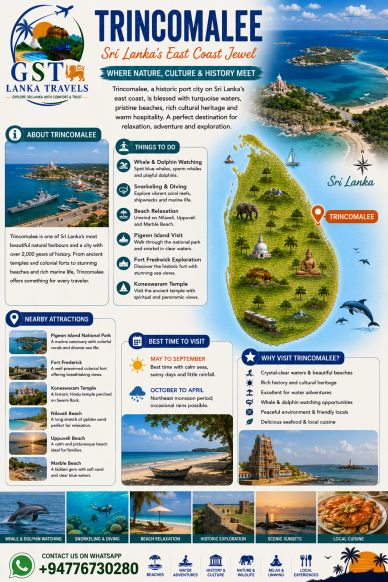 Trincomalee travel guide highlighting nature, activities, and attractions on Sri Lanka's east coast.