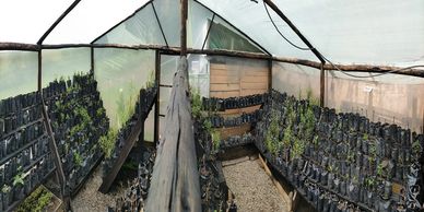 Operadora Minera del Centro SAS