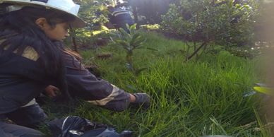 Operadora Minera del Centro SAS