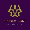 FISIBLE CORP INC