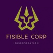 FISIBLE CORP INC