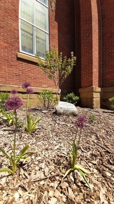 Purple flowers growing in a mulched garden bed beside a brick building.