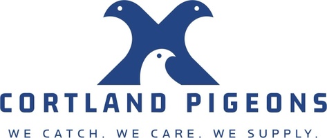 cortlandpigeons.com
