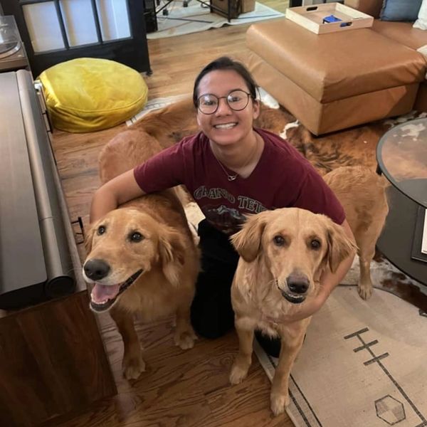 Pet Sitter near me, house sitter near me, dog sitter, cat sitter, pet sitter novi, pet sitter 48375 