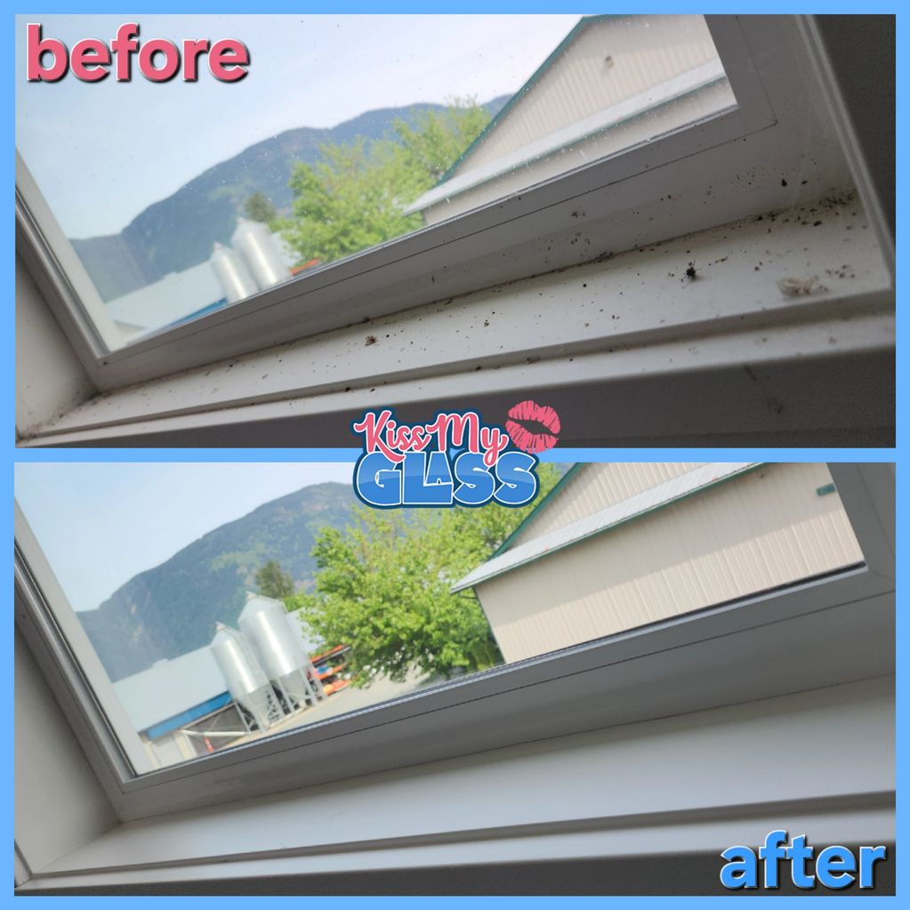 Interior window cleaning removing bug debris and dirt from sill in Chilliwack home