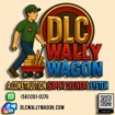 DLC INTERNATIONAL GROUP