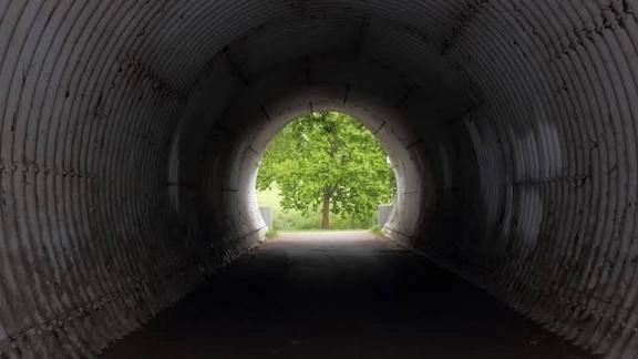 View from inside a dark tunnel looking out at a bright green tree.
