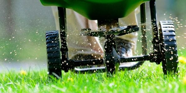 Lawn Fertilizer to fertilize your yard.
