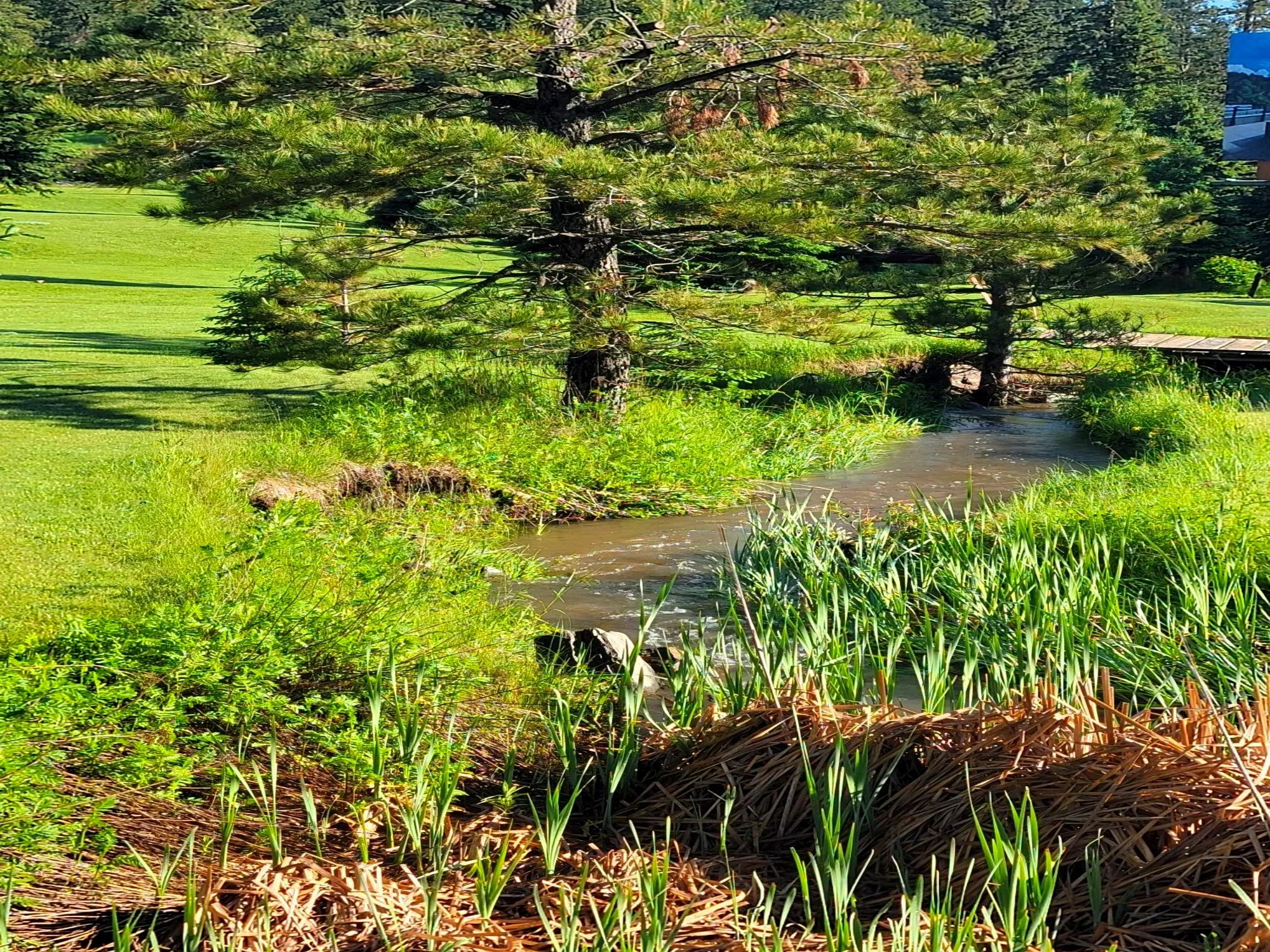 Cabins in Black Hills SD Book Your Dream Vacation Rental