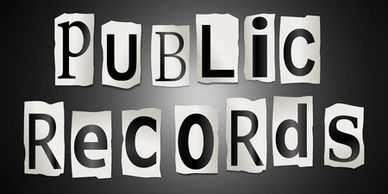 Public Records from Critical Truth