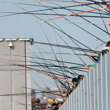 Many fishing rods lined up on a bridge.