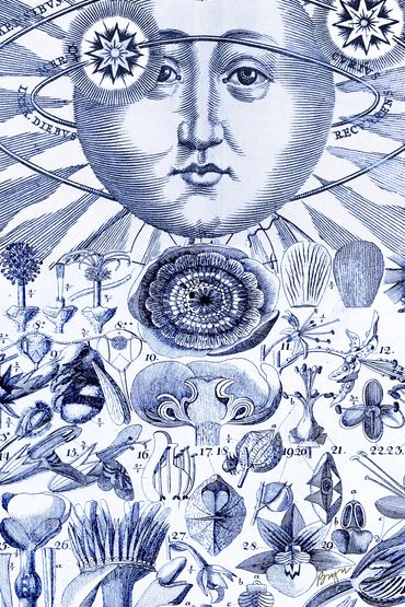 Blue, Sun Map and Flowers