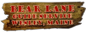 Bear lane guide services 