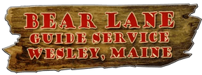 Bear lane guide services 