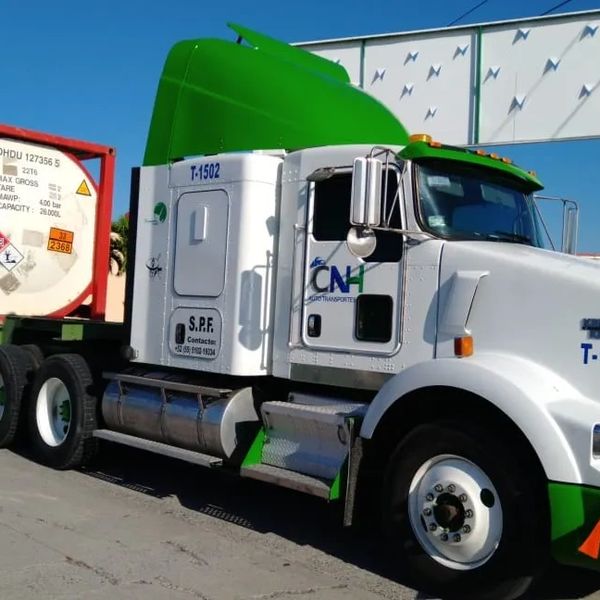 A white and green semi-truck with a large container trailer on a sunny day.