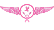 AERONAUTICA ESPECIALIZADA DE  MEXICO S.C.