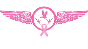 AERONAUTICA ESPECIALIZADA DE  MEXICO S.C.