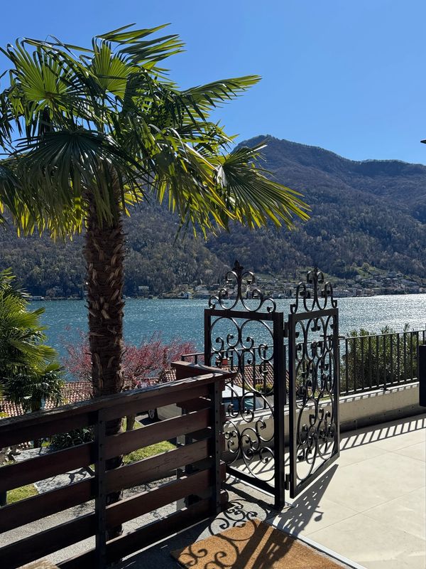 Sunny lakeside view with palm tree and ornate gate casting shadows.