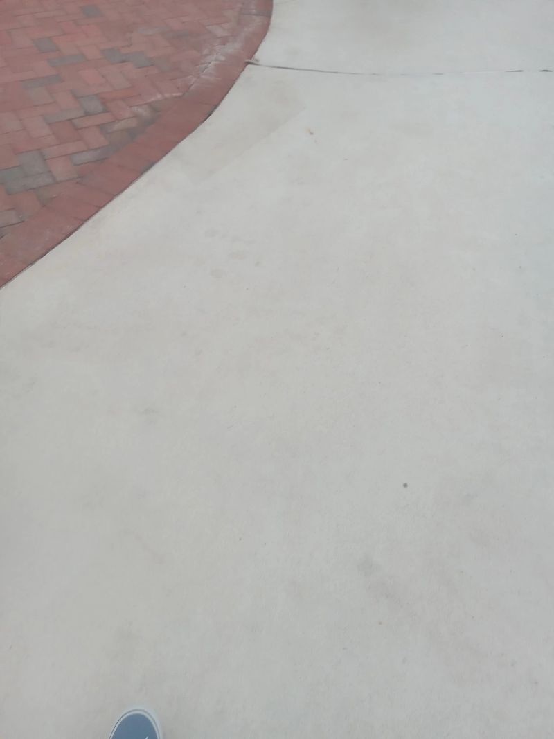 20260307_164738.JPG