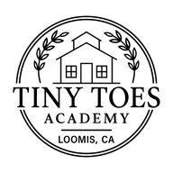 Tiny Toes Acadey 