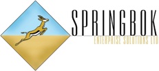 Springbok Enterprise Solutions Ltd