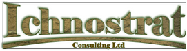 Ichnostrat Consulting Ltd