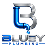             Bluey 
plumbing & Rooter  