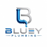             Bluey 
plumbing & Rooter  