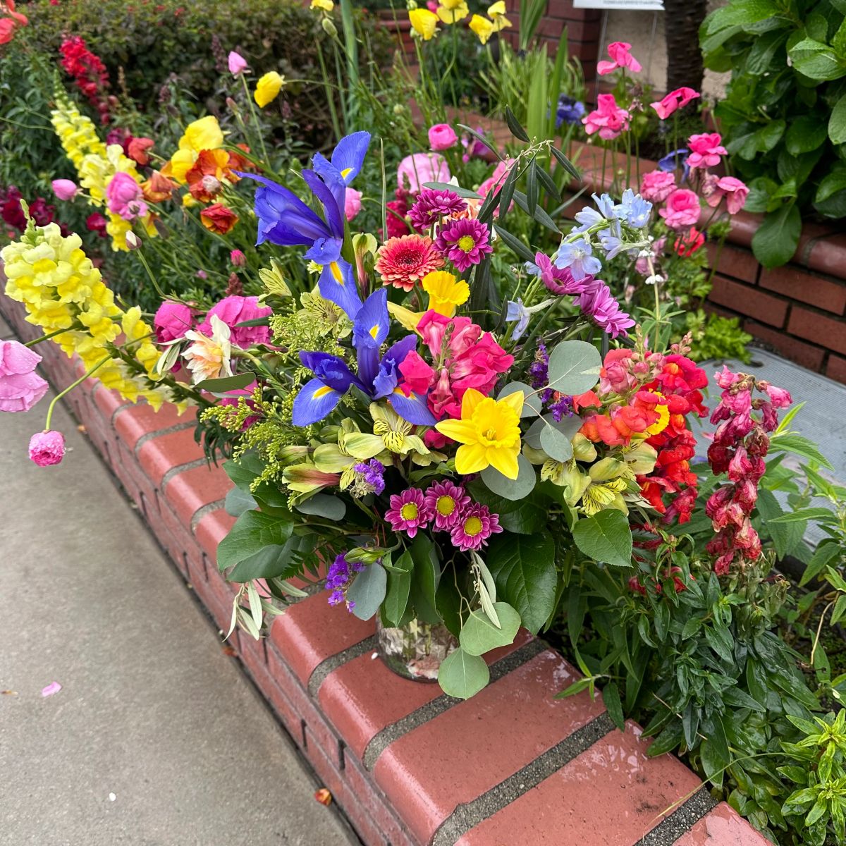Fa Spring Flower Spring Flowers