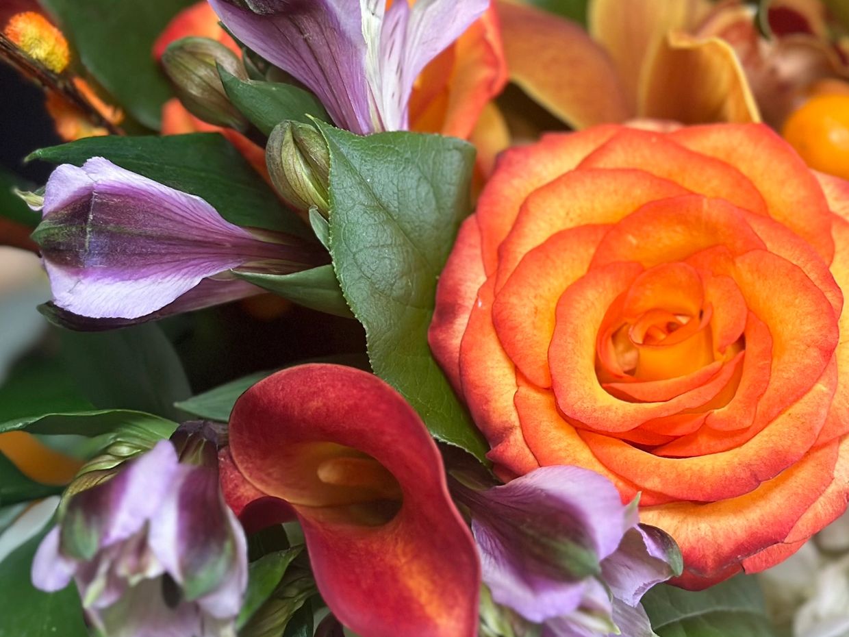 Orange Roses and Calla Lilies